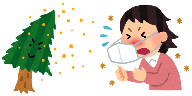 雨上がりの空と、ちょっとだけホッとする花粉症の私