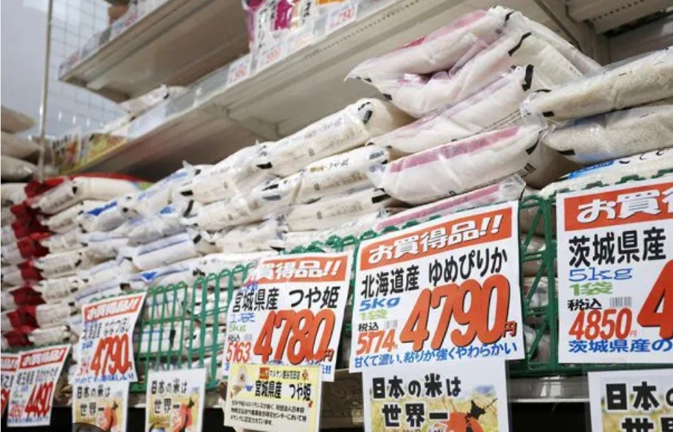 お米、高くなってきたよね…😢 どうする？