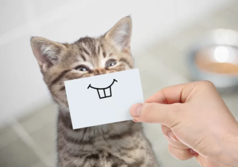 日常を彩る「ちょっとしたこと」と、あなたが大切にするものって？